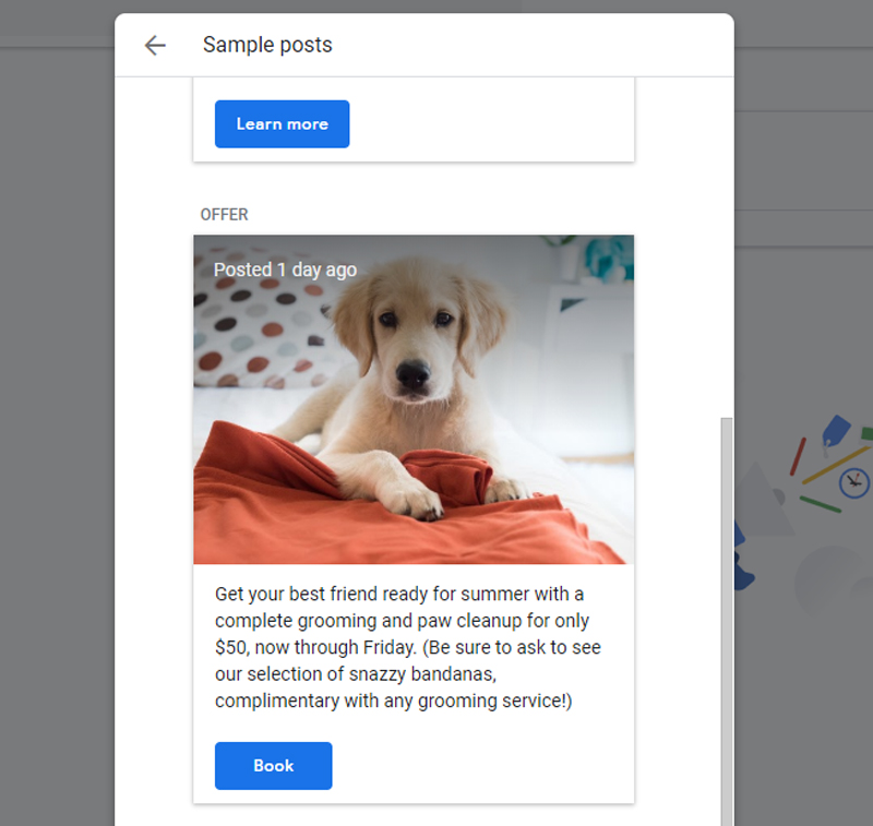 Google Posts Offer Sample
