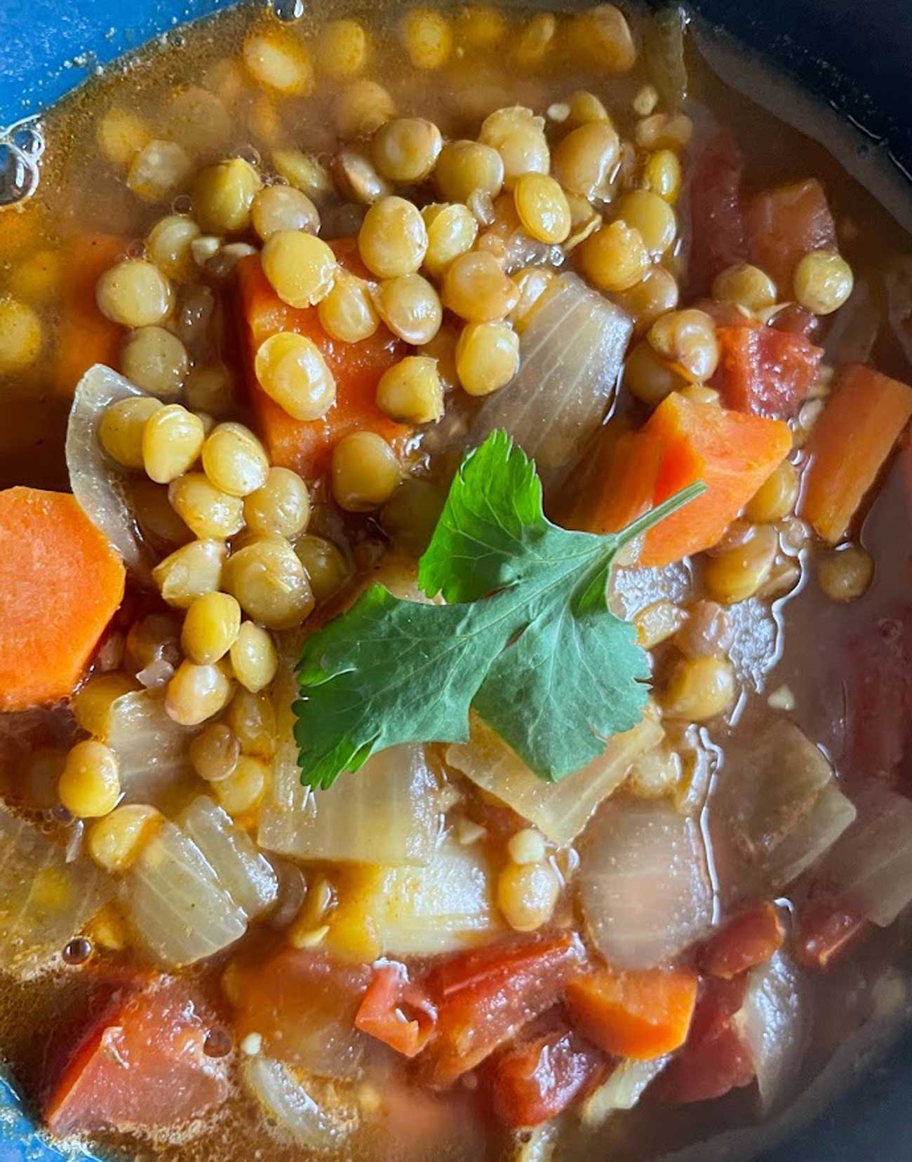 Stovetop Lentil Soup: A Nourishing Recipe of Comfort & Flavor