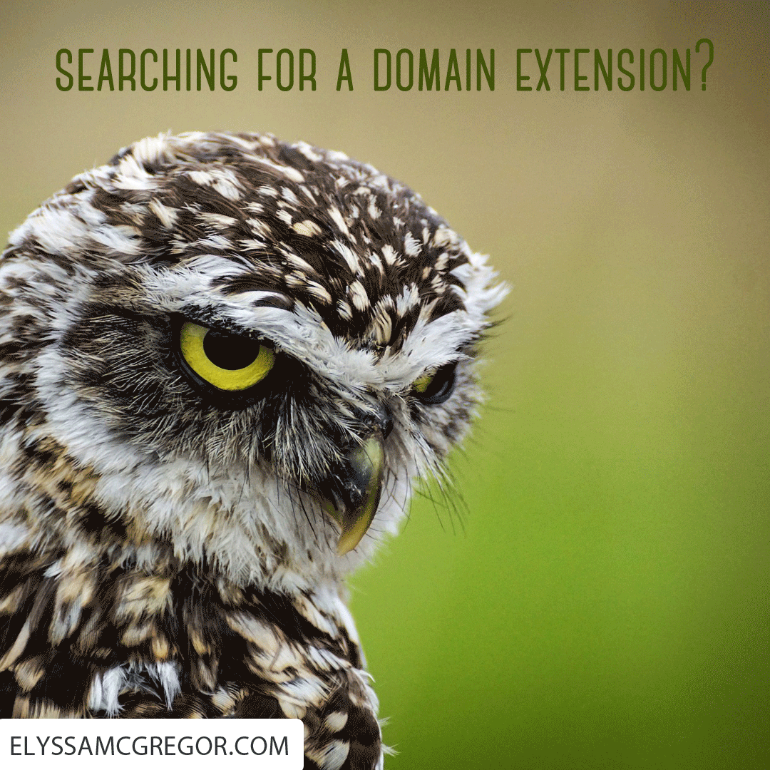 Searching for a domain extension?