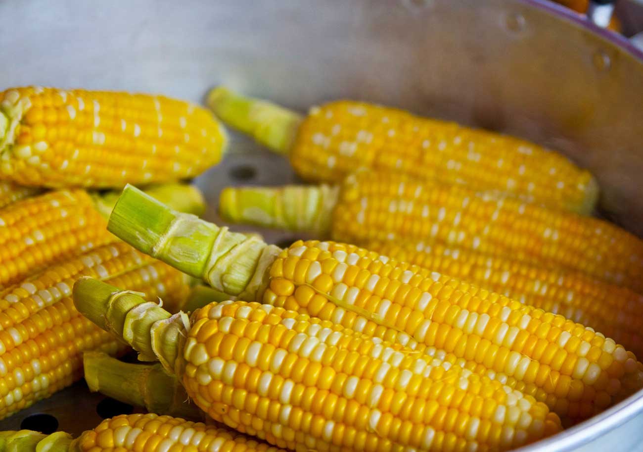 Is Corn a Diabetes-Friendly Choice? The Impact of Corn on Blood Sugar